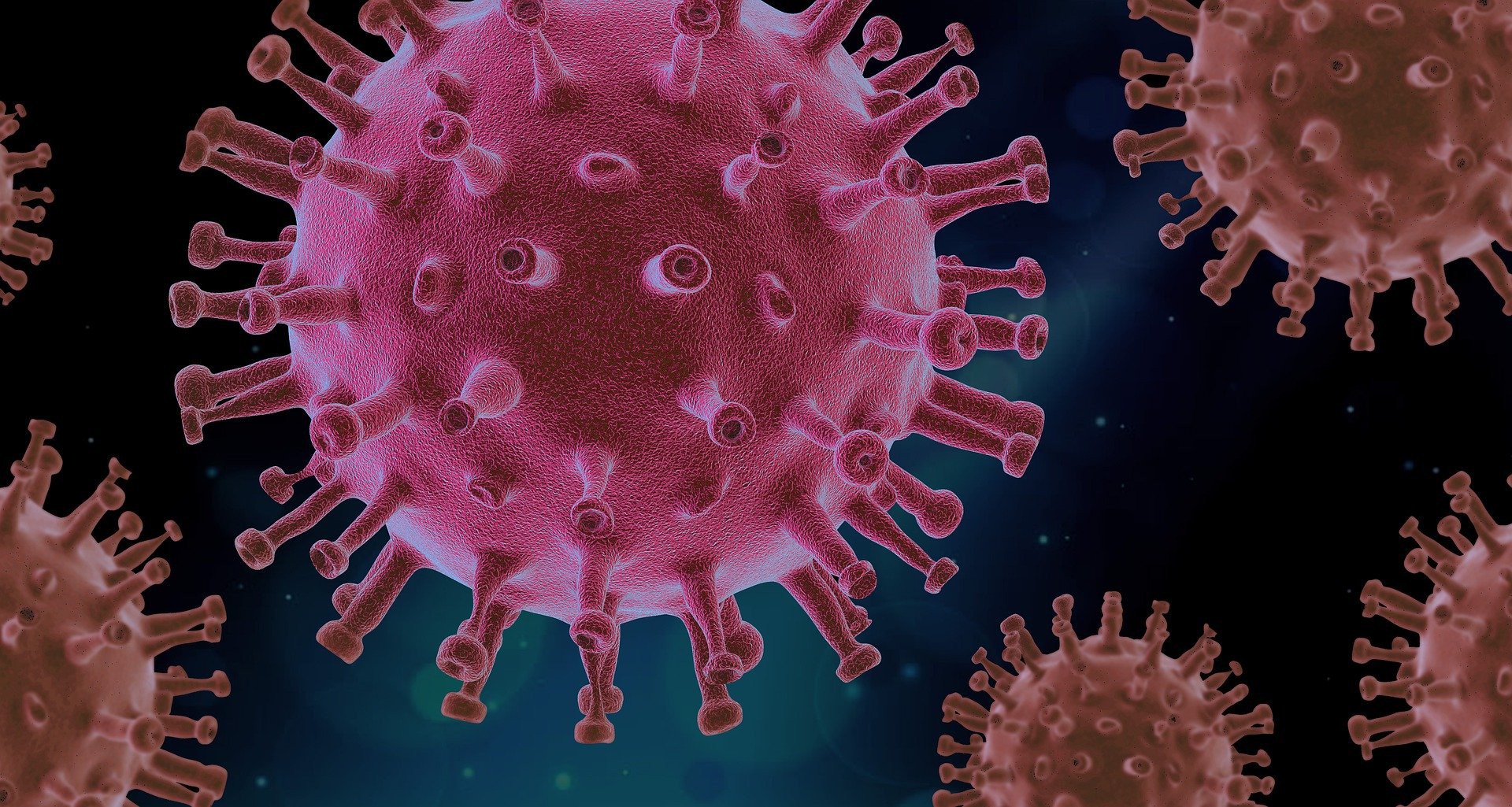 Rozporządzenie Biskupa Siedleckiego na czas trwającej epidemii koronawirusa oraz obchodów Wielkiego Tygodnia i Triduum Paschalnego