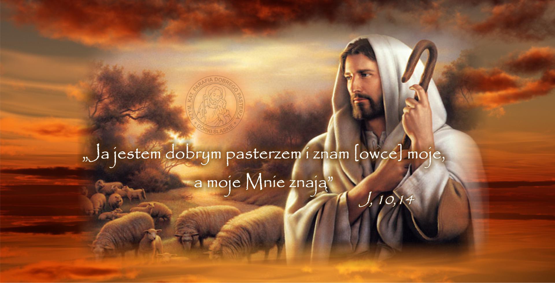 Dziś Niedziela Dobrego Pasterza – 57. Światowy Dzień Modlitw o Powołania
