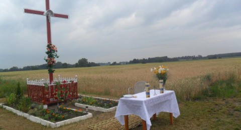 Poświęcenie pól w naszej Parafii