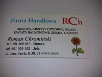  chro.jpg 